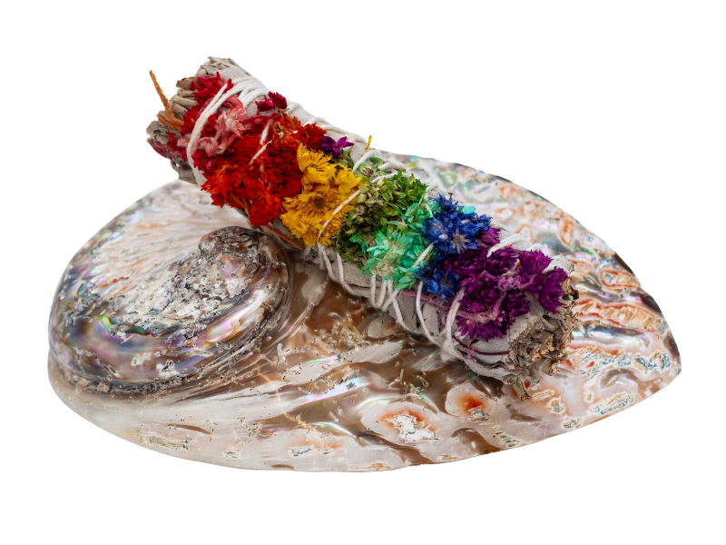 Annee Angel - Sage on a Shell